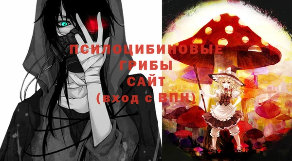 2c-b Лагань