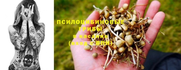 меф Ладушкин