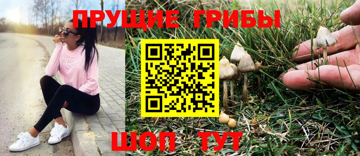 Галлюциногенные грибы Psilocybine cubensis  Вход с VPN  Керчь 